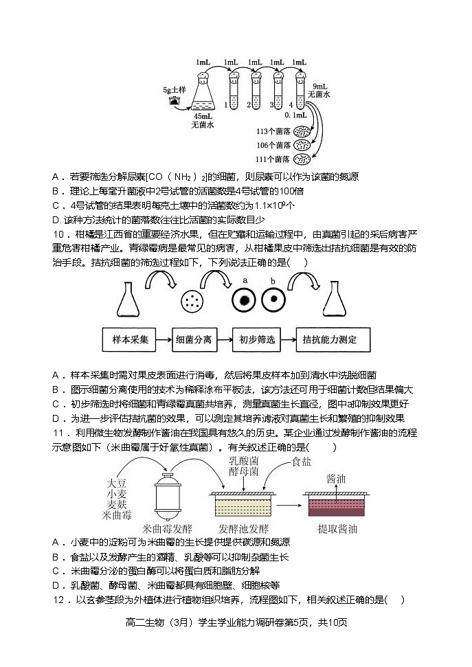 天津市静海区第一中学2024-2025学年高二下学期3月学生学业能力调研生物试题（Word版附答案）第3页