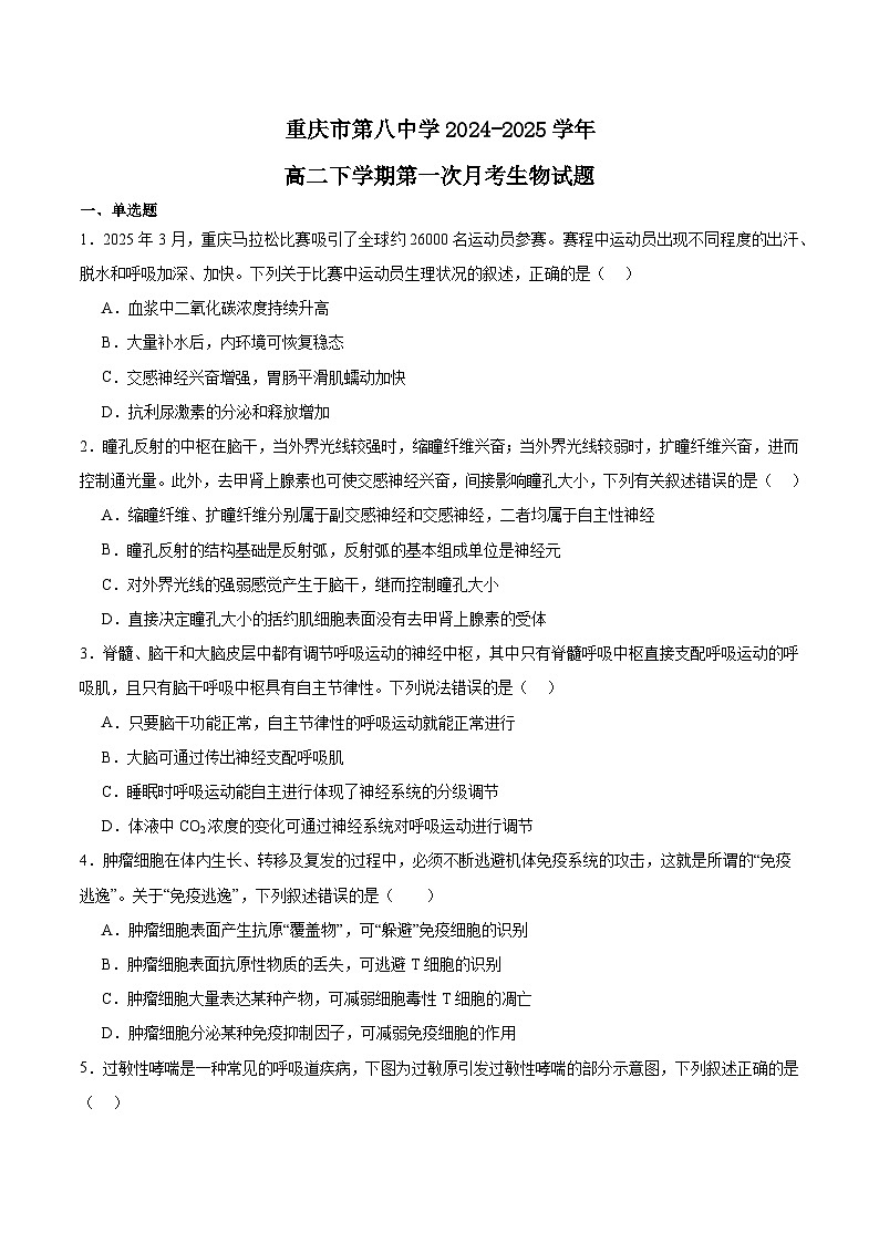 重庆市第八中学2024-2025学年高二下学期第一次月考生物试题（Word版附答案）第1页
