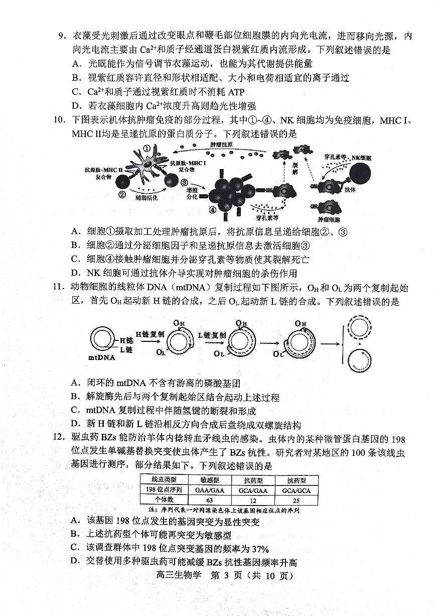 生物试题2025年东北三省四城市联考暨沈阳市高三质量监测（二）第3页