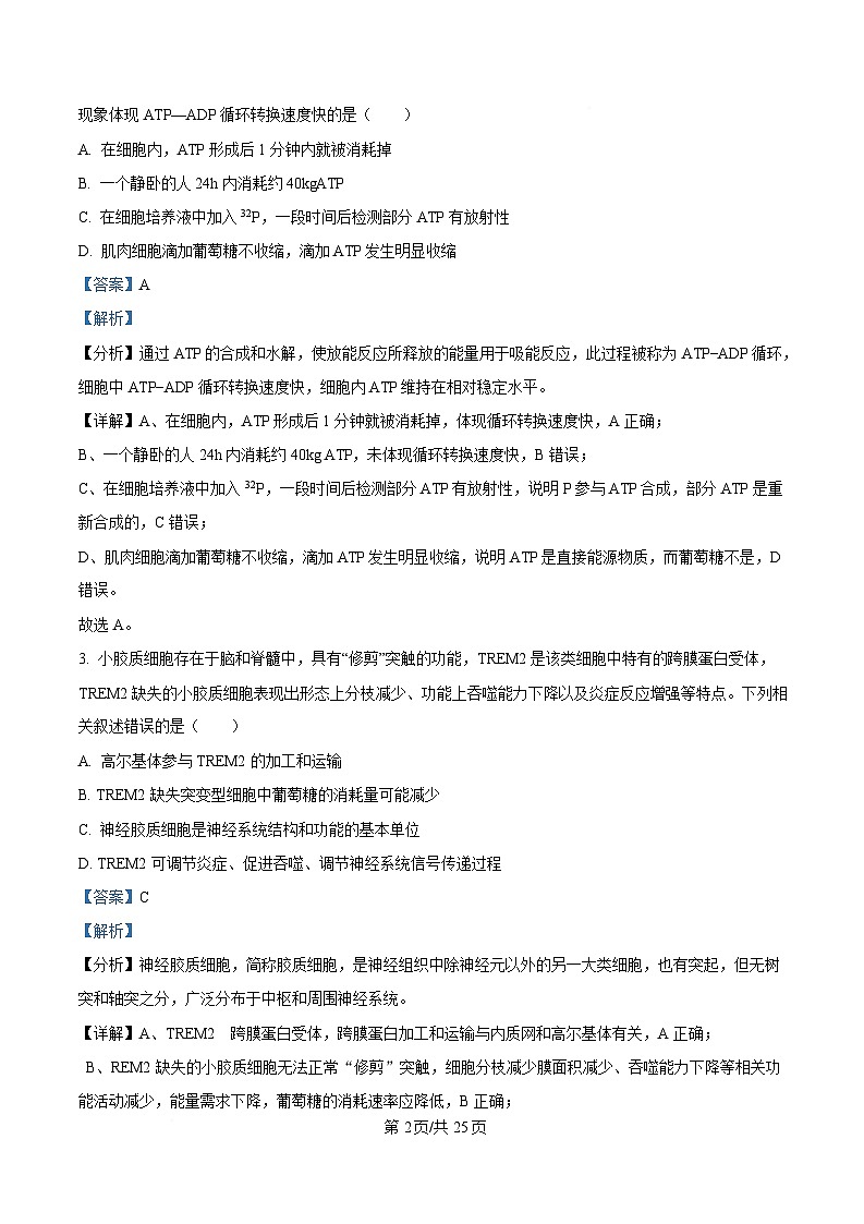 重庆市沙坪坝区重庆市第八中学2024-2025学年高三下学期3月月考生物试题 Word版含解析第2页