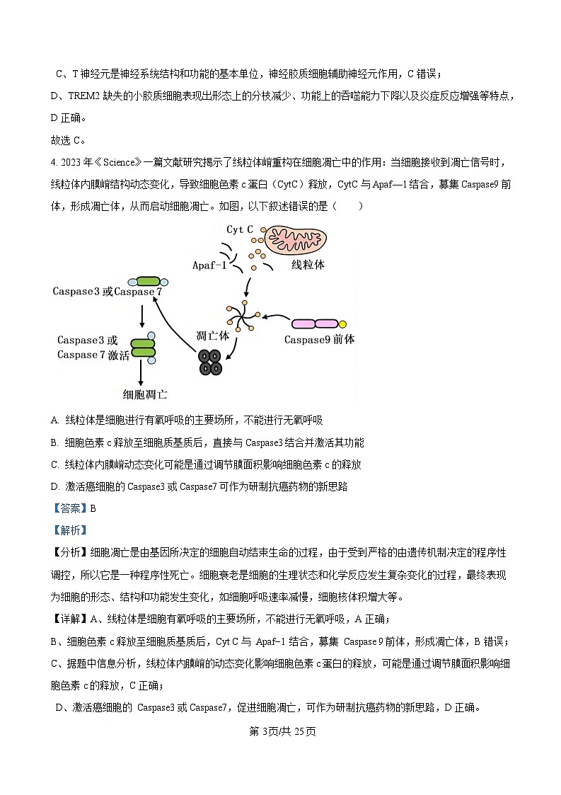 重庆市沙坪坝区重庆市第八中学2024-2025学年高三下学期3月月考生物试题 Word版含解析第3页