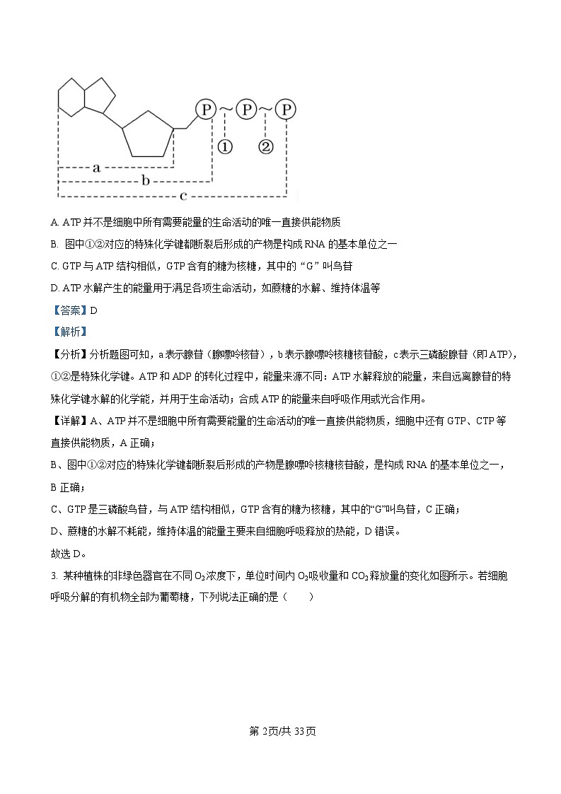 重庆市江北区重庆市第十八中学2024-2025学年高一下学期3月月考生物试题 Word版含解析第2页