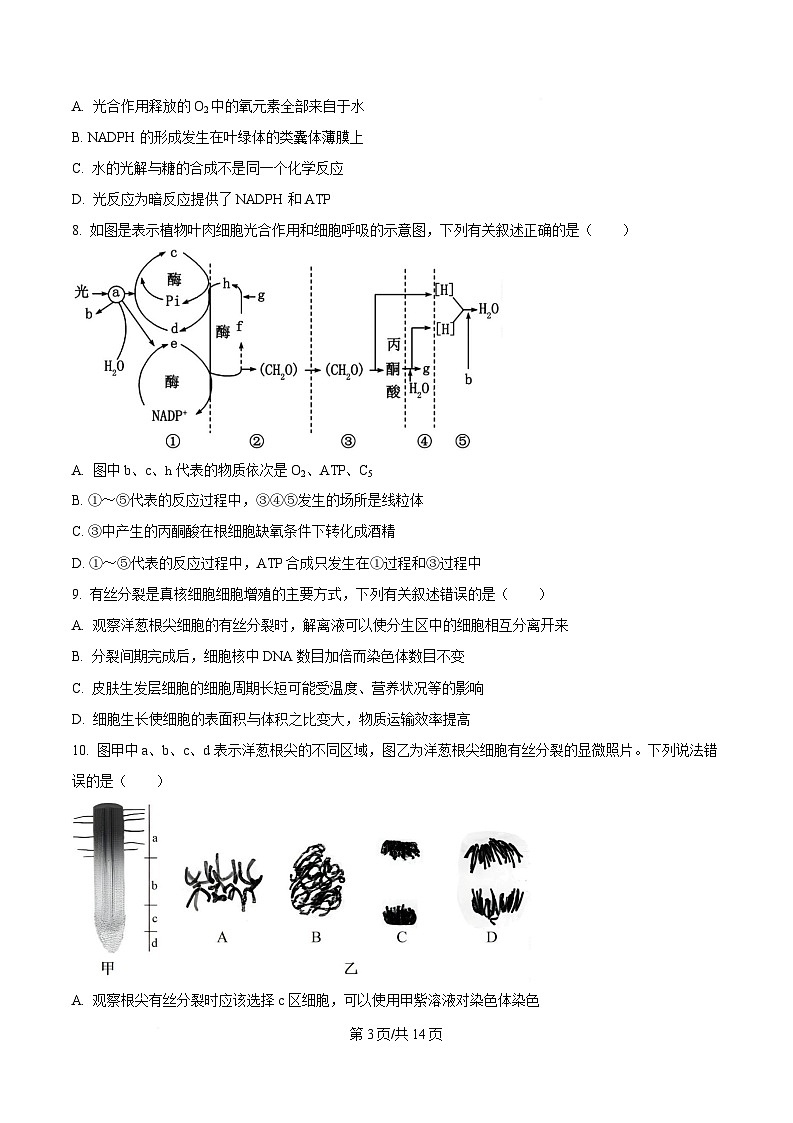 重庆市江北区重庆市第十八中学2024-2025学年高一下学期3月月考生物试题（原卷版）第3页