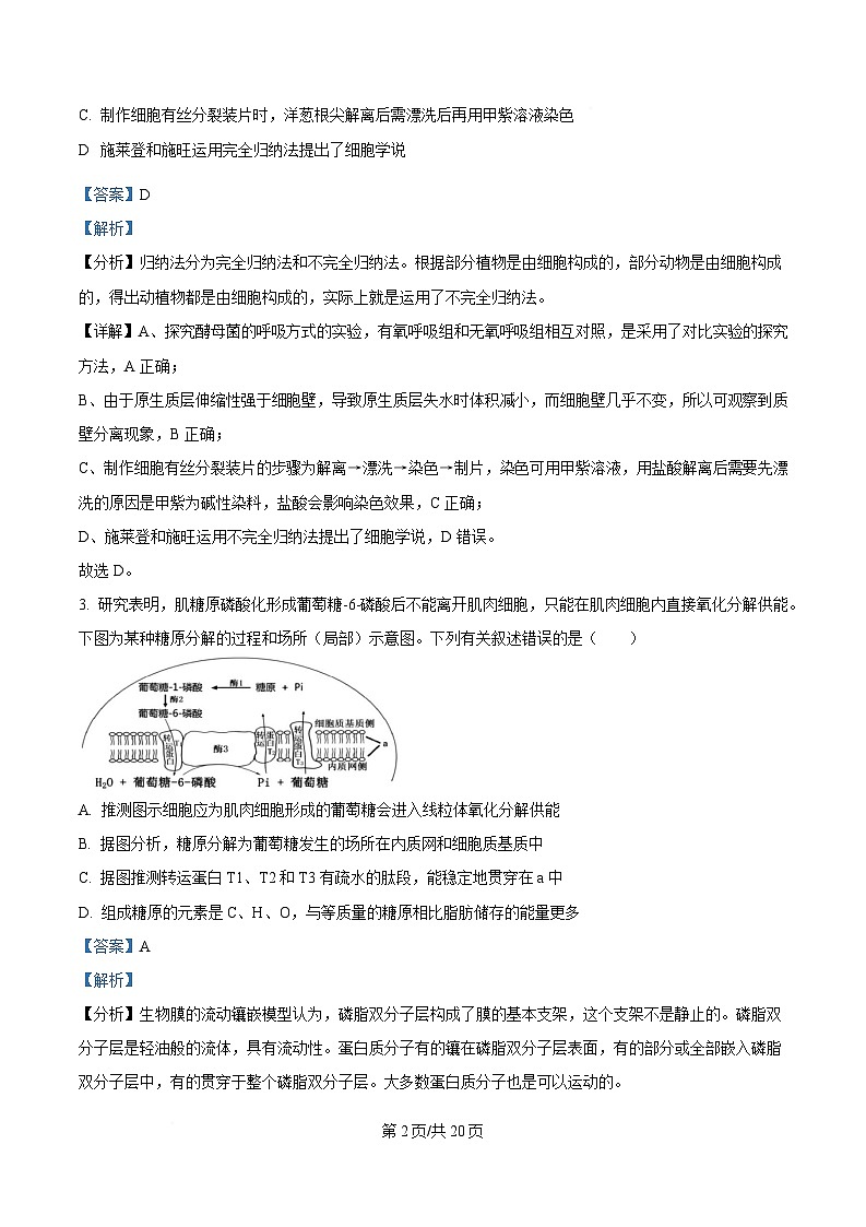 重庆市第十一中学教育集团2024-2025学年高三下学期第七次质量检测生物试题 Word版含解析第2页