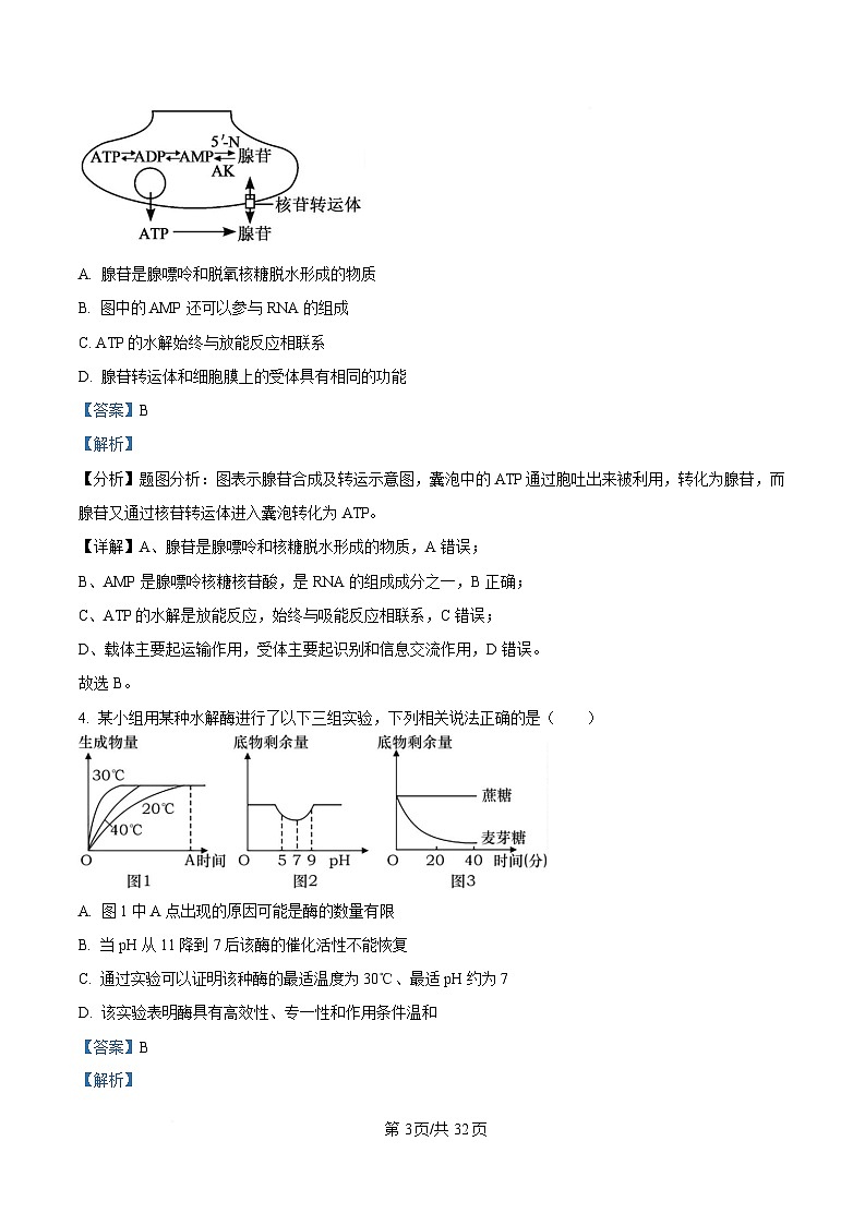 重庆市第一中学2024-2025学年高一下学期3月月考生物试题 Word版含解析第3页
