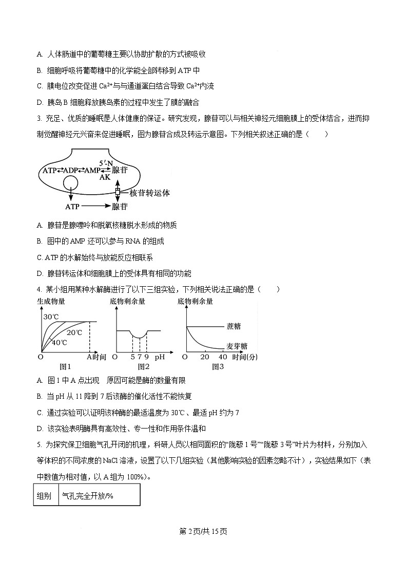 重庆市第一中学2024-2025学年高一下学期3月月考生物试题（原卷版）第2页