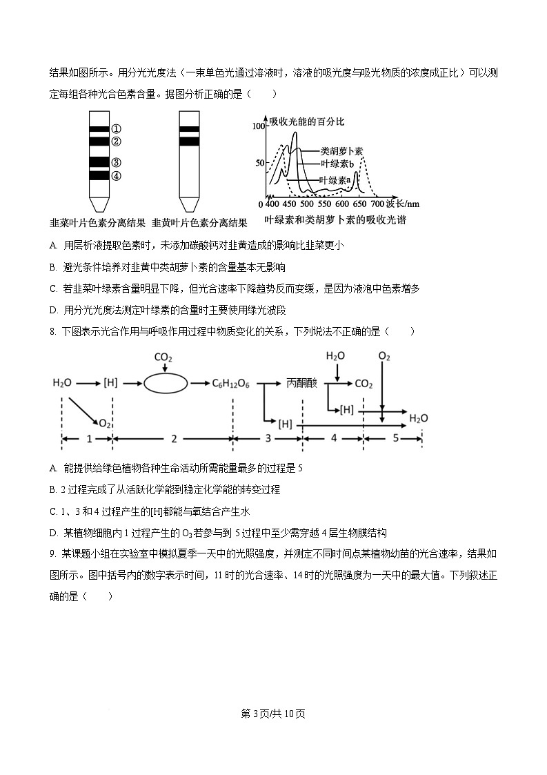 重庆市涪陵第五中学2024-2025学年高一下学期第一次月考生物试卷（原卷版）第3页