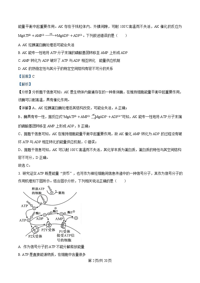 重庆市九龙坡区重庆市渝西中学2024-2025学年高一下学期3月月考生物试题 Word版含解析第2页