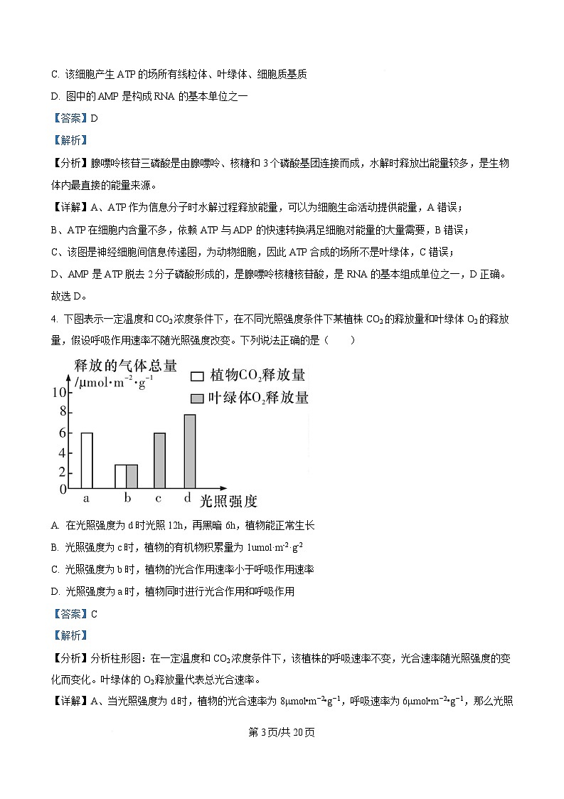 重庆市九龙坡区重庆市渝西中学2024-2025学年高一下学期3月月考生物试题 Word版含解析第3页