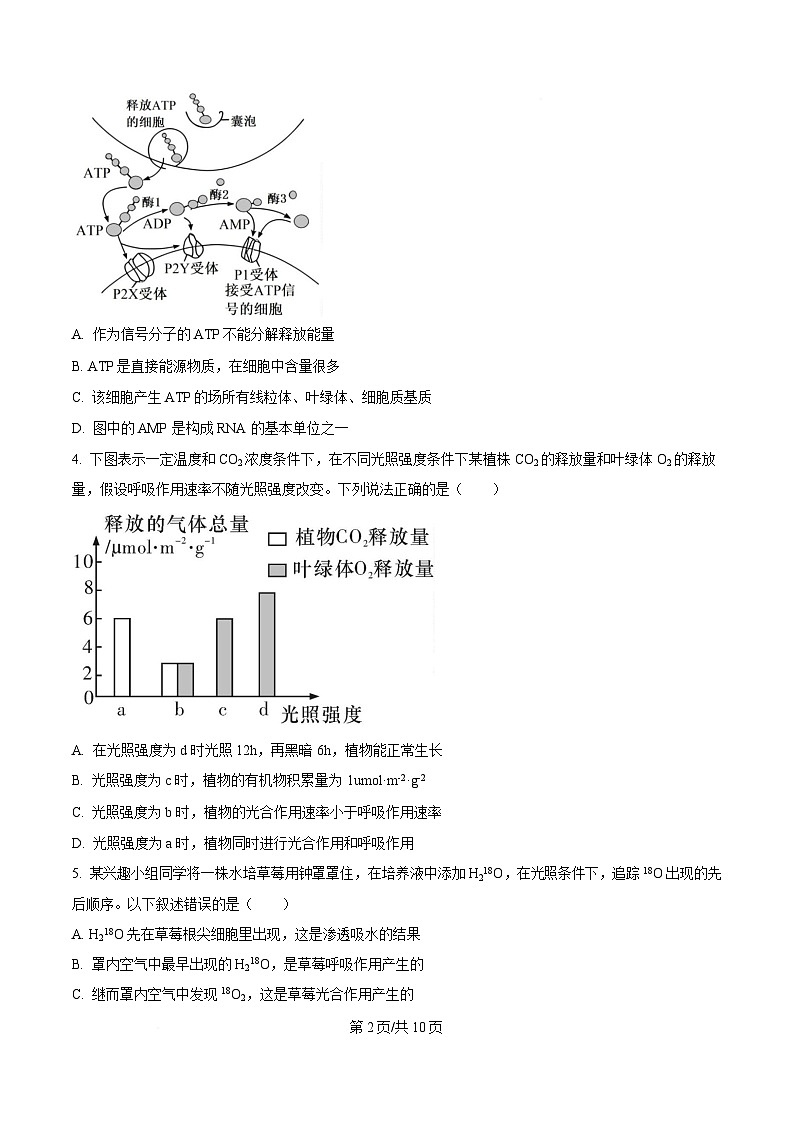 重庆市九龙坡区重庆市渝西中学2024-2025学年高一下学期3月月考生物试题（原卷版）第2页