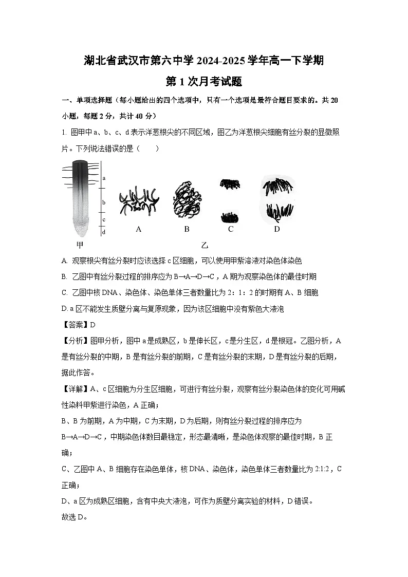 湖北省武汉市第六中学2024-2025学年高一下学期第1次月考生物试卷（解析版）第1页