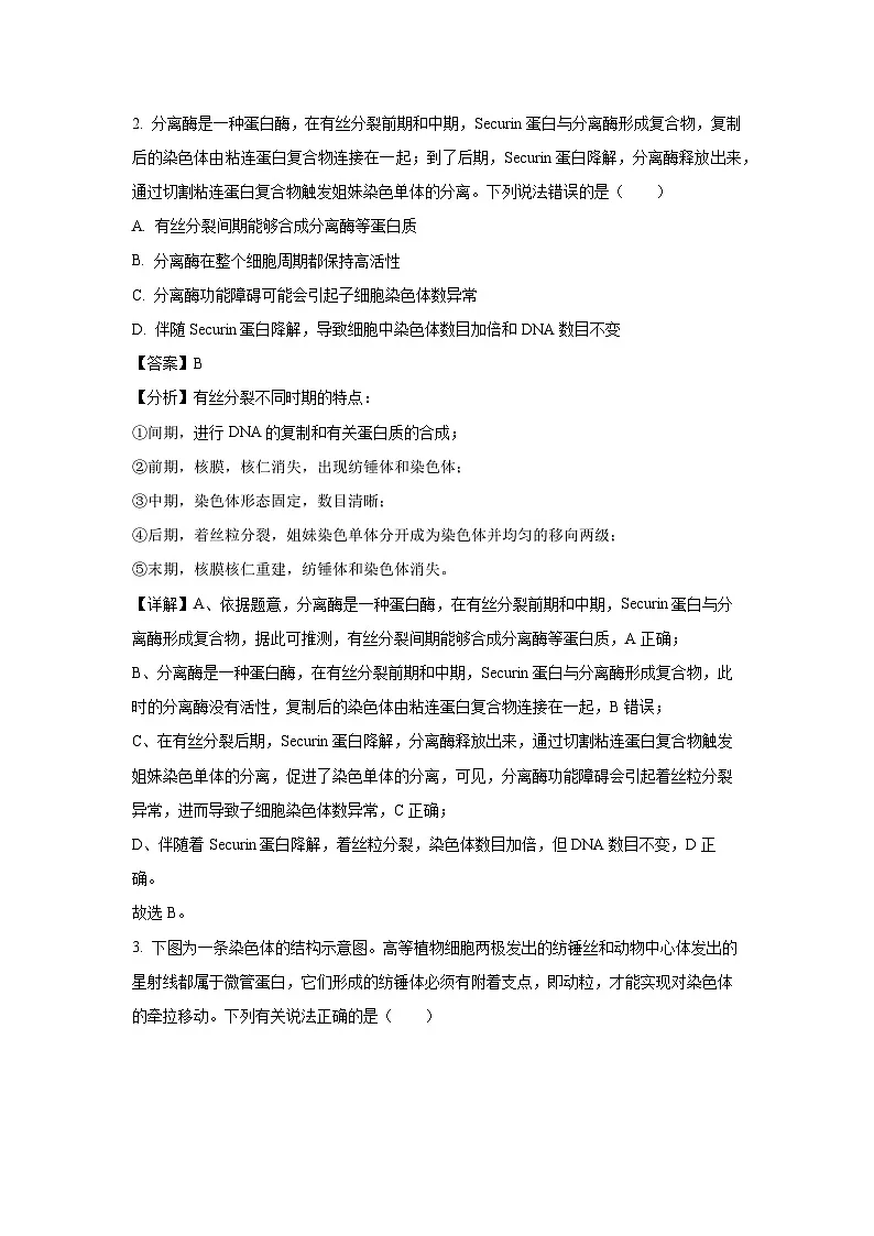 湖北省武汉市第六中学2024-2025学年高一下学期第1次月考生物试卷（解析版）第2页