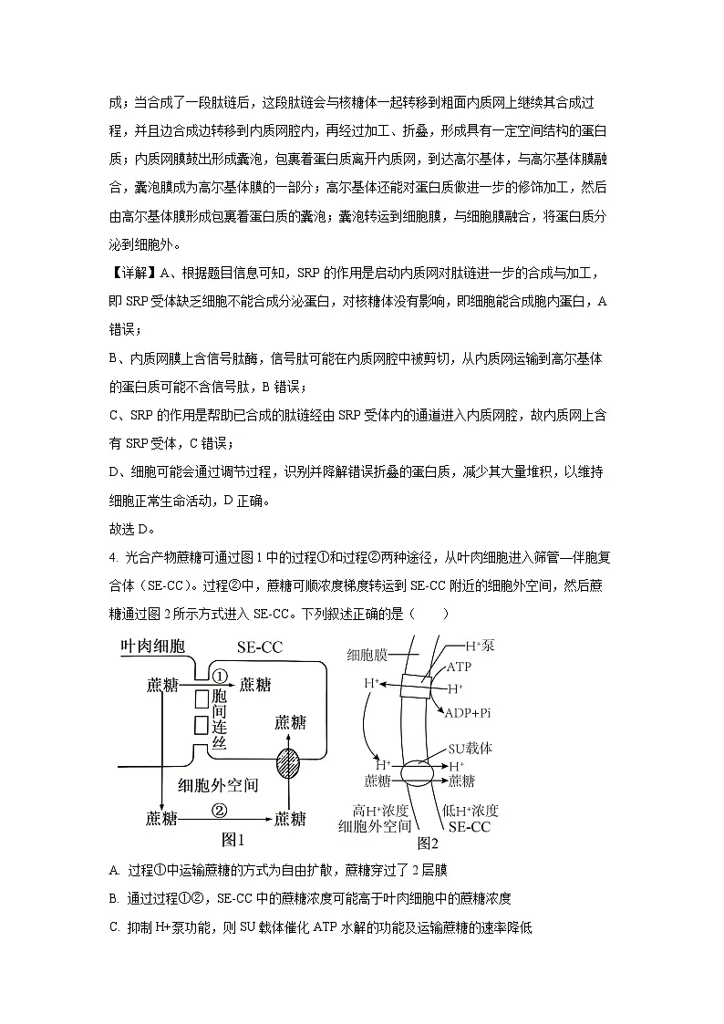 河南省部分学校2024-2025学年高三下学期阶段测试（五）月考生物试卷（解析版）第3页
