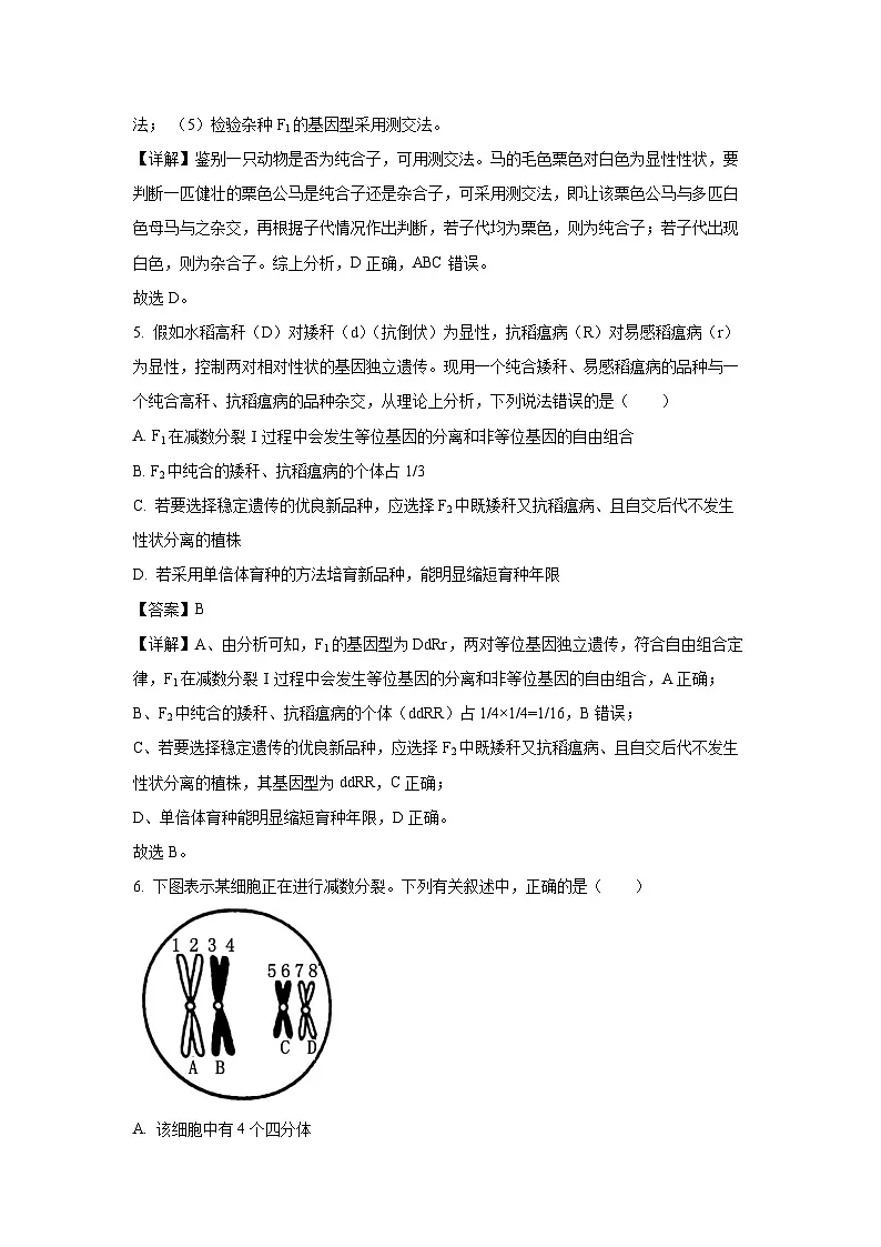 河南省郑州市2023-2024学年高一下学期期末考试生物试卷（解析版）第3页