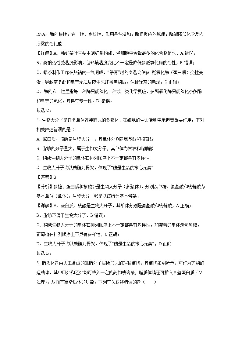 江西省多地区多校联考2024-2025学年高一下学期3月月考生物试卷（解析版）第3页