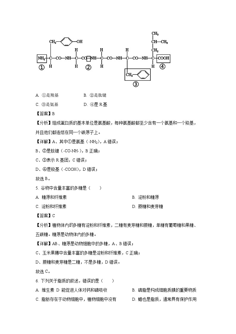 江苏省泰州市2024-2025学年高二上学期12月合格性考试模拟测试生物试卷（解析版）第3页
