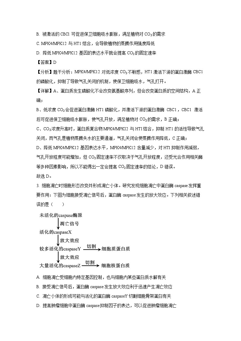 山东省菏泽市2025届高三下学期2月一模生物试卷（解析版）第2页