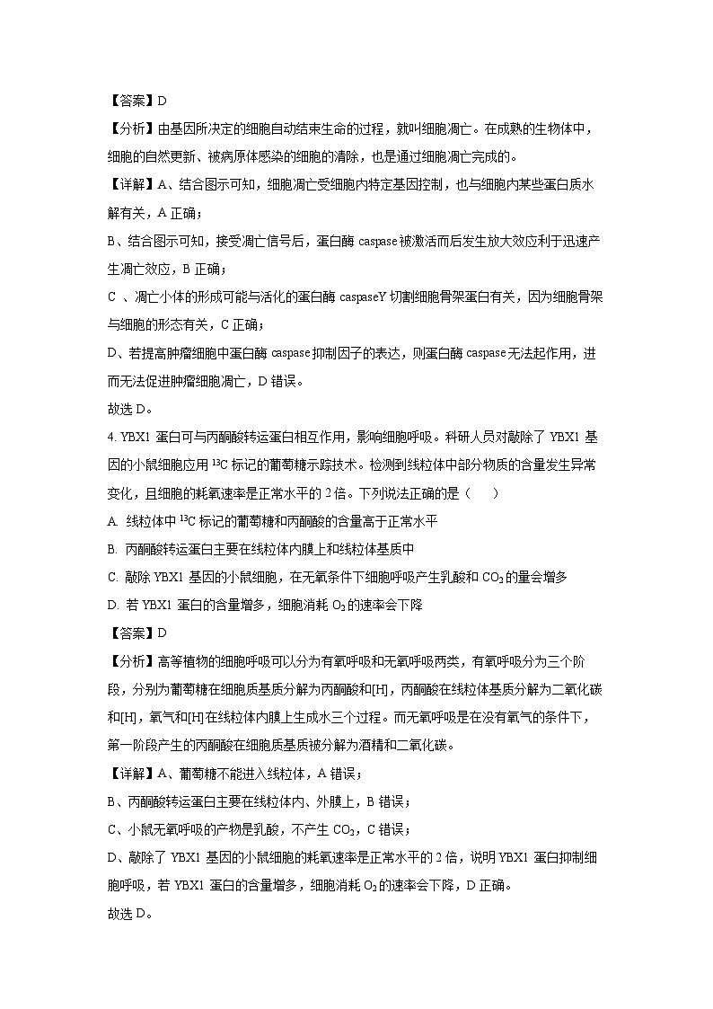 山东省菏泽市2025届高三下学期2月一模生物试卷（解析版）第3页