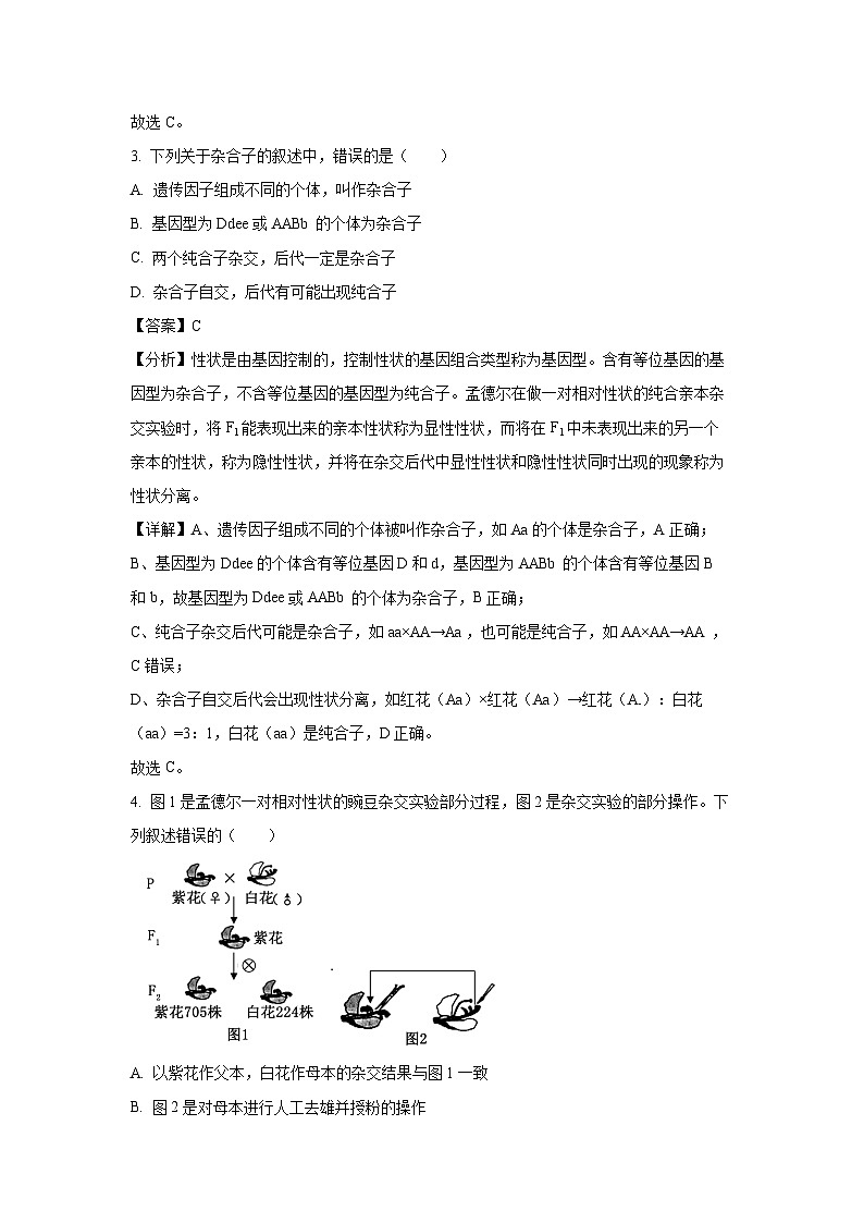 山东省三月大联考2024-2025学年高一下学期3月月考生物试卷（解析版）第2页