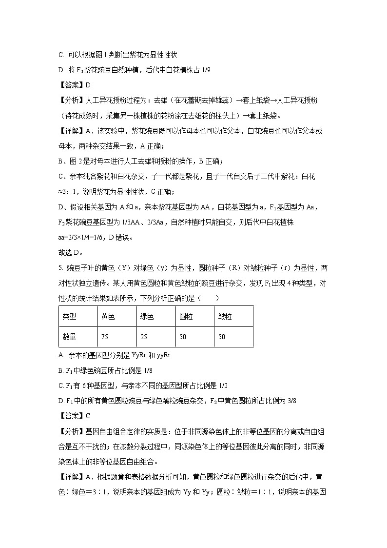山东省三月大联考2024-2025学年高一下学期3月月考生物试卷（解析版）第3页