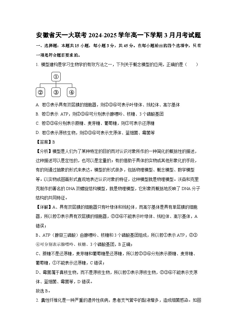 安徽省天一大联考2024-2025学年高一下学期3月月考生物试卷（解析版）第1页
