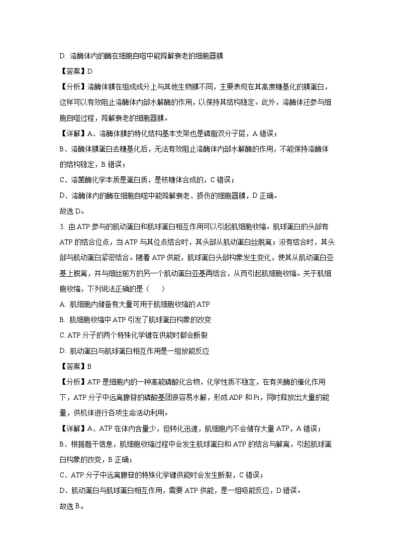 四川省德阳市2025届高三下质量监测考试(二)月考生物试卷（解析版）第2页
