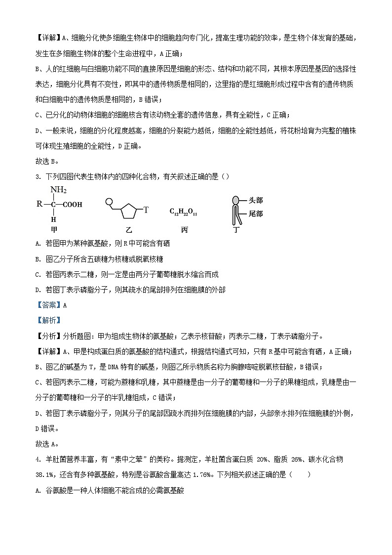 四川省眉山市仁寿县2023_2024学年高一生物下学期3月月考试题含解析第2页