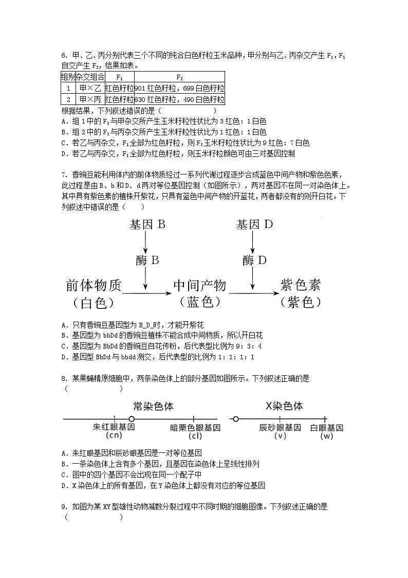 北京市2024-2025学年高一下学期3月月考生物（模拟卷）+答案第2页