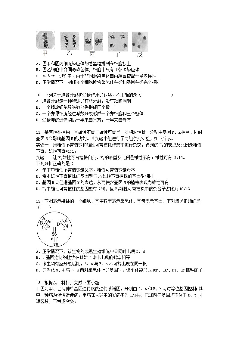 北京市2024-2025学年高一下学期3月月考生物（模拟卷）+答案第3页