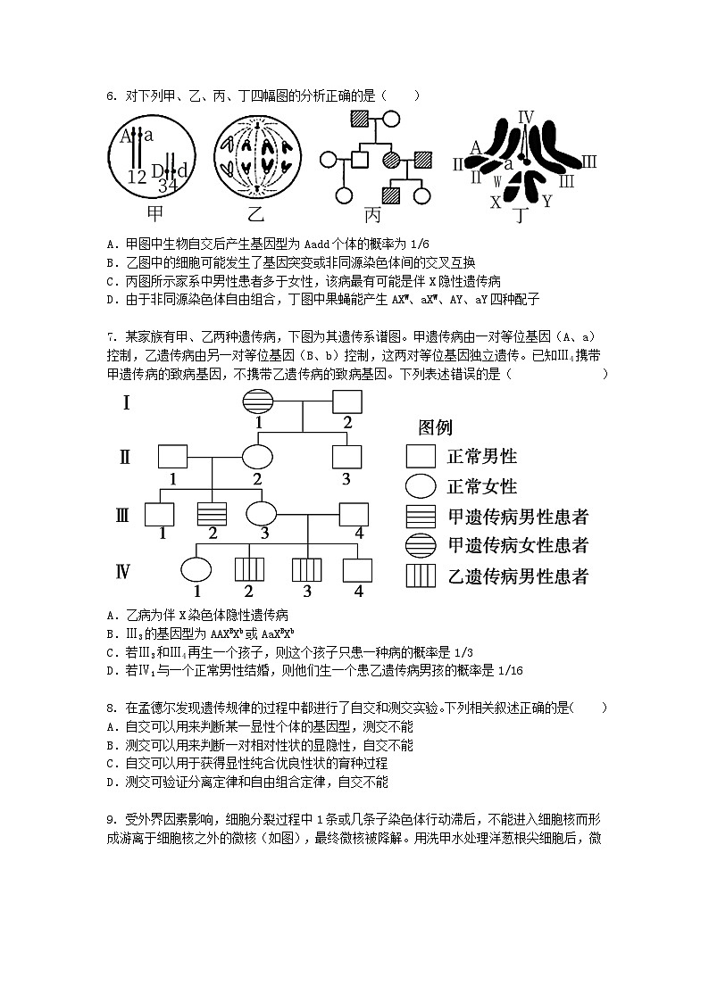 广东省深圳市2024-2025学年高一下学期3月月考生物（模拟卷）+答案第2页
