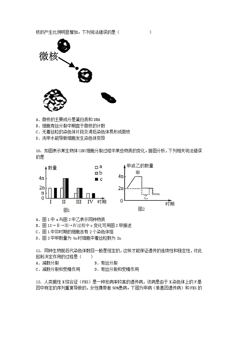 广东省深圳市2024-2025学年高一下学期3月月考生物（模拟卷）+答案第3页
