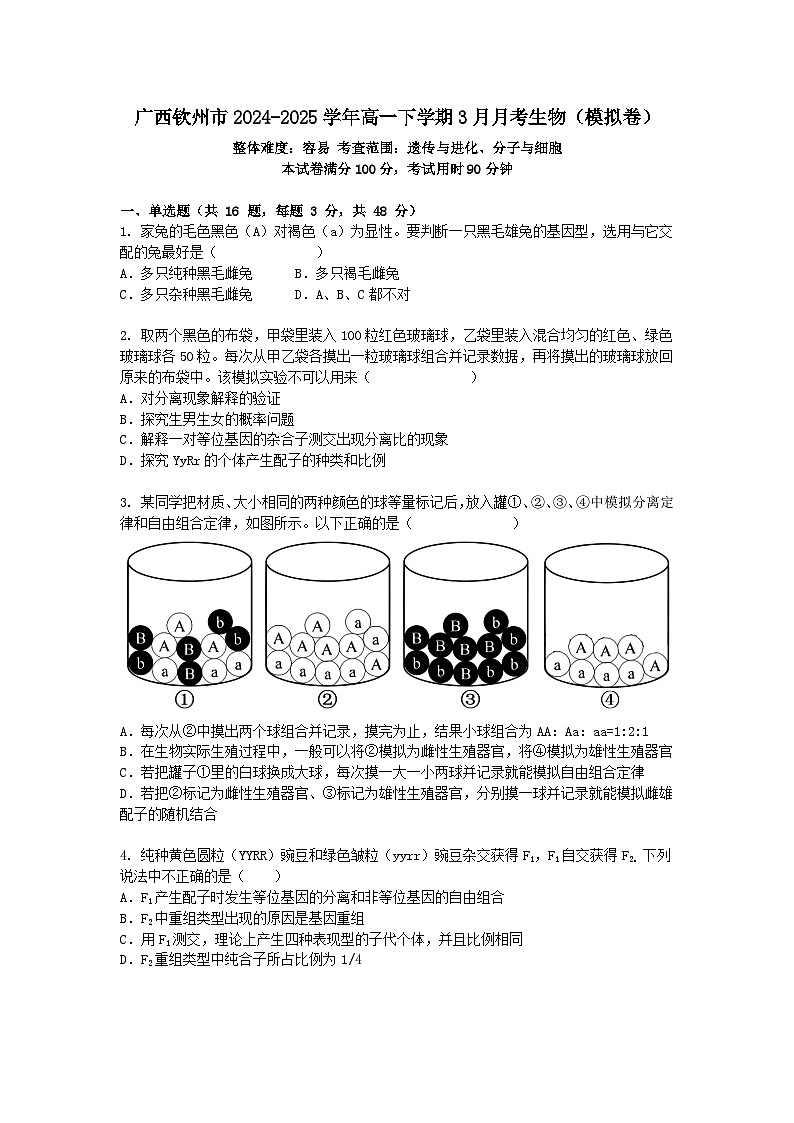 广西钦州市2024-2025学年高一下学期3月月考生物（模拟卷）+答案第1页