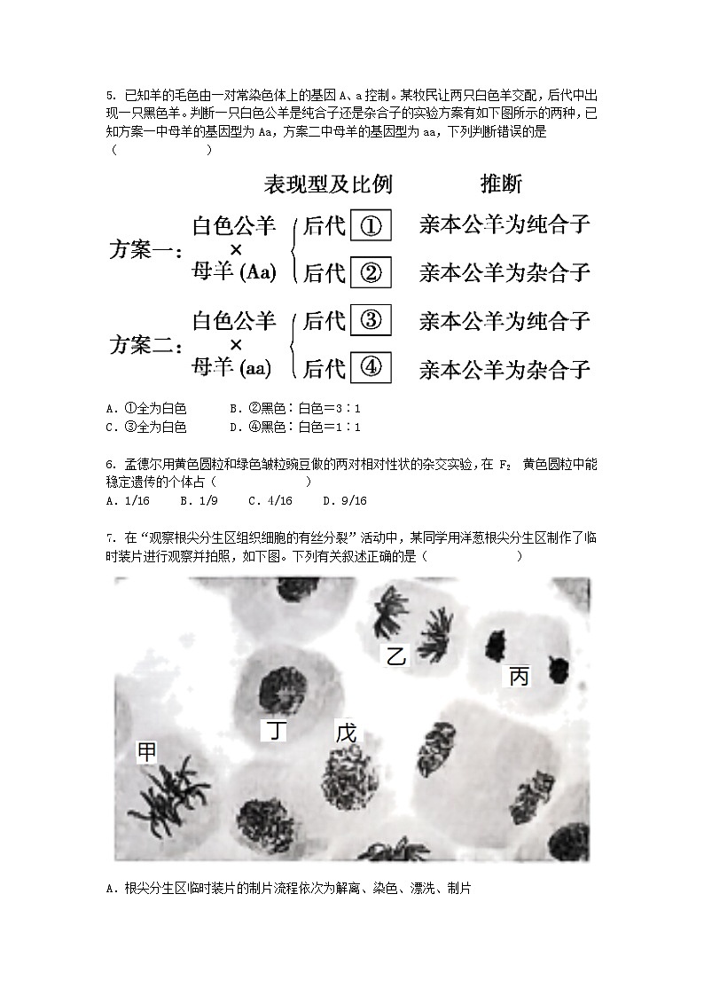 广西钦州市2024-2025学年高一下学期3月月考生物（模拟卷）+答案第2页