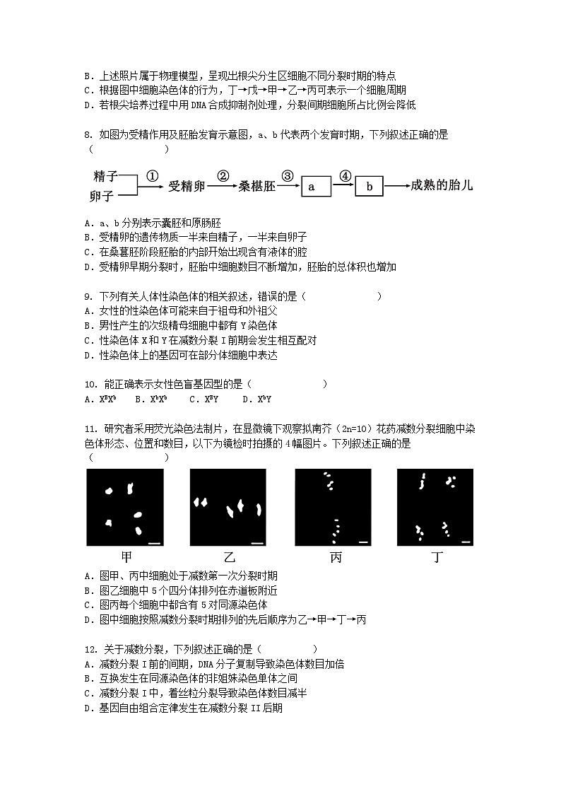 广西钦州市2024-2025学年高一下学期3月月考生物（模拟卷）+答案第3页