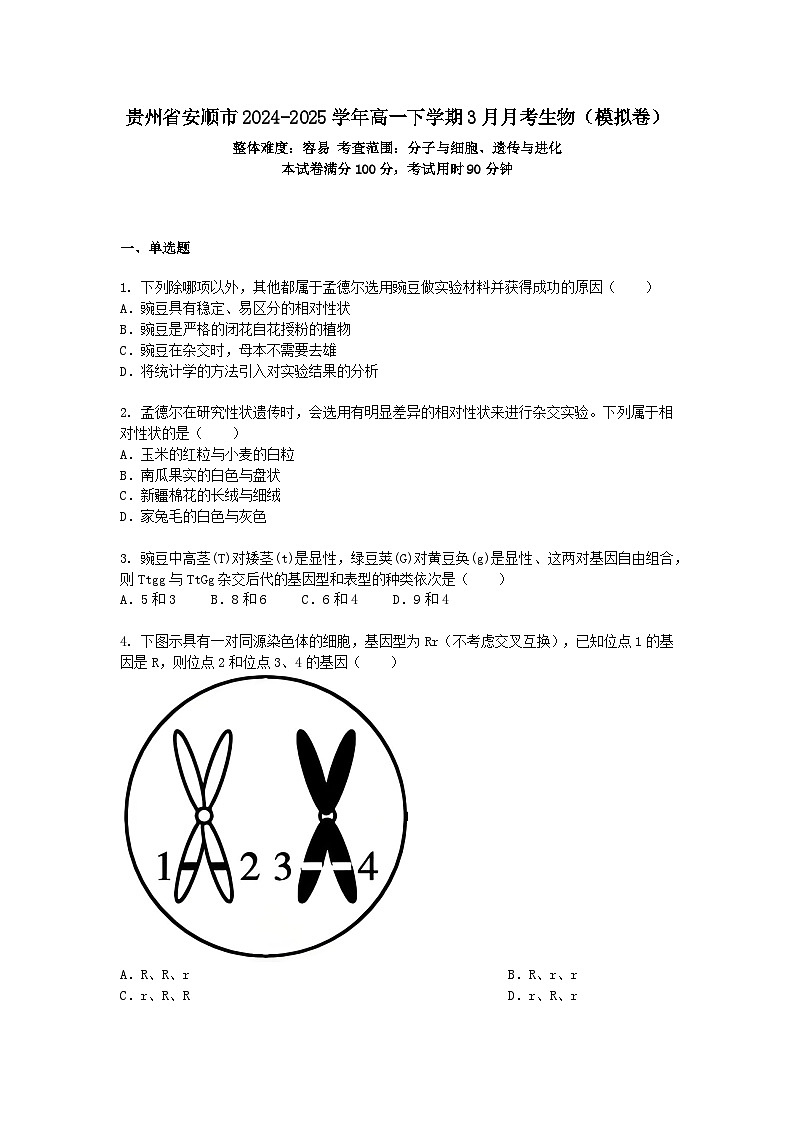 贵州省安顺市2024-2025学年高一下学期3月月考生物（模拟卷）+答案第1页