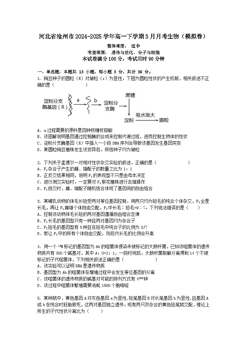 河北省沧州市2024-2025学年高一下学期3月月考生物（模拟卷）+答案第1页