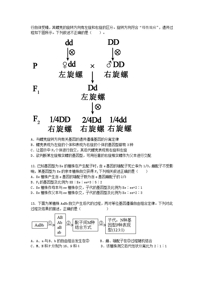河南省许昌市2024-2025学年高一下学期3月月考生物（模拟卷）+答案第3页