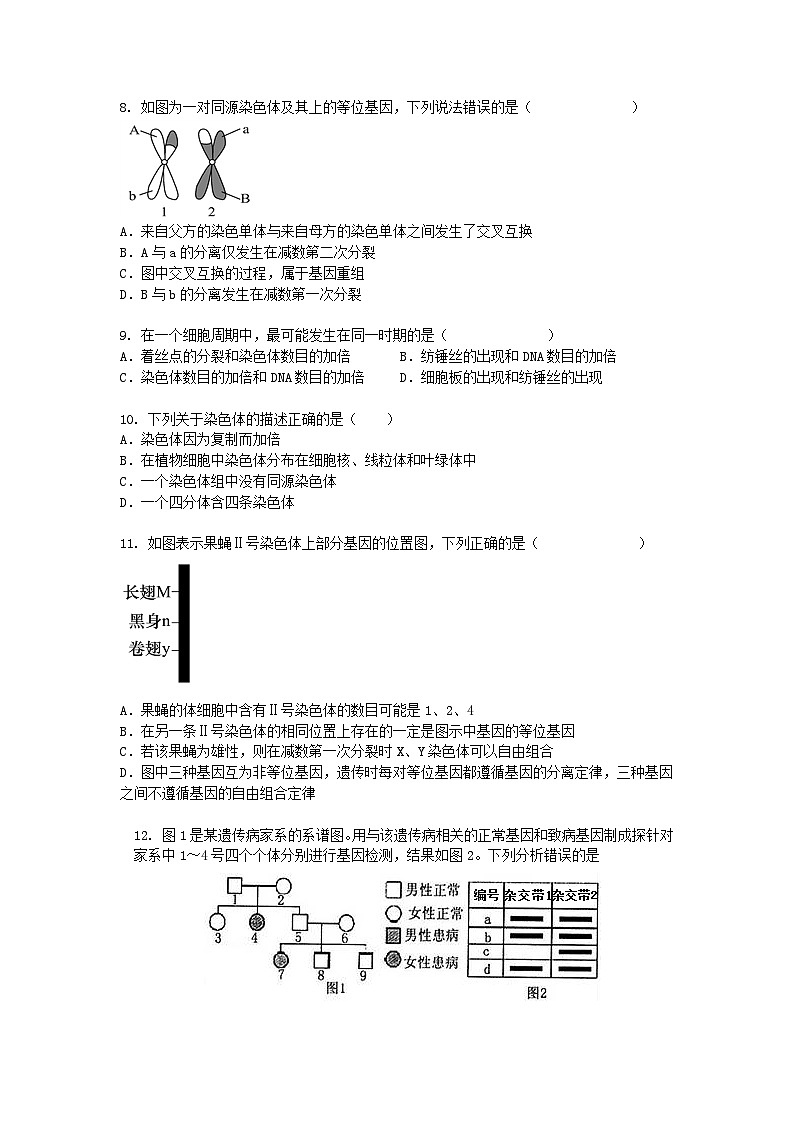 黑龙江省牡丹江市2024-2025学年高一下学期3月月考生物（模拟卷）+答案第2页