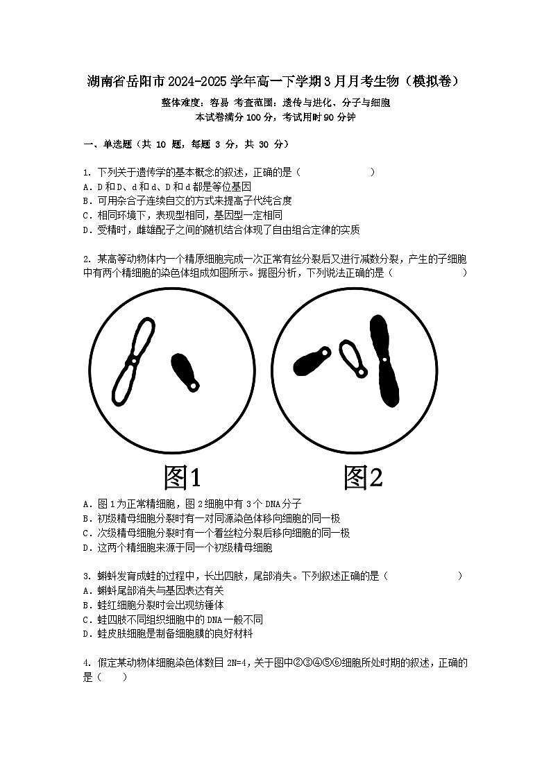 湖南省岳阳市2024-2025学年高一下学期3月月考生物（模拟卷）+答案第1页