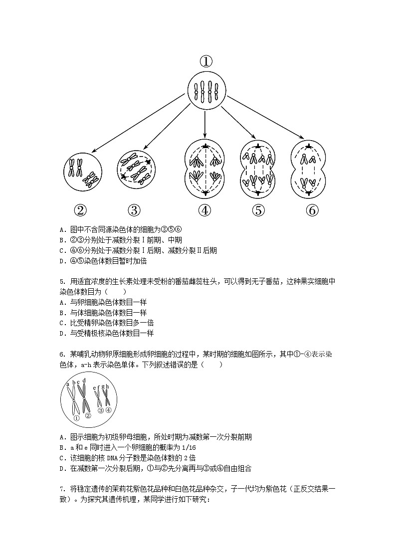 湖南省岳阳市2024-2025学年高一下学期3月月考生物（模拟卷）+答案第2页