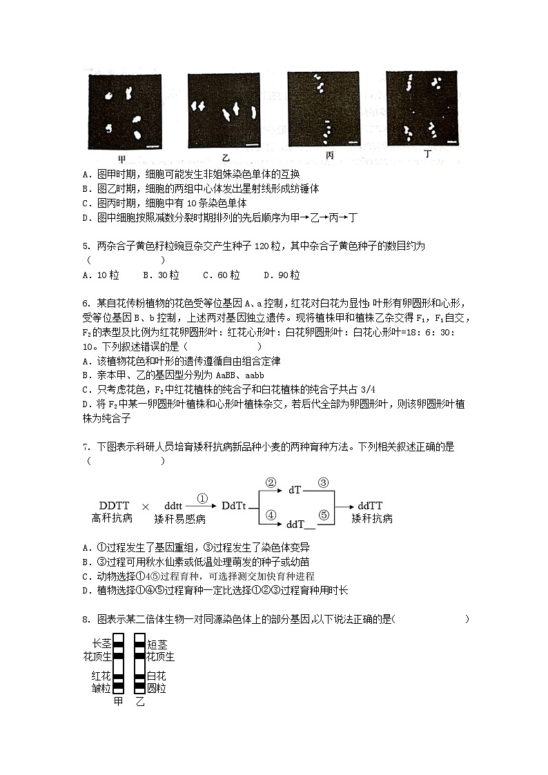 山西省朔州市怀仁市2024-2025学年高一下学期3月月考生物（模拟卷）+答案第2页