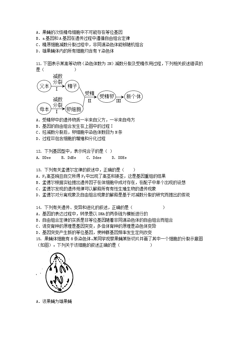 陕西省咸阳市2024-2025学年高一下学期3月月考生物（模拟卷）+答案第3页