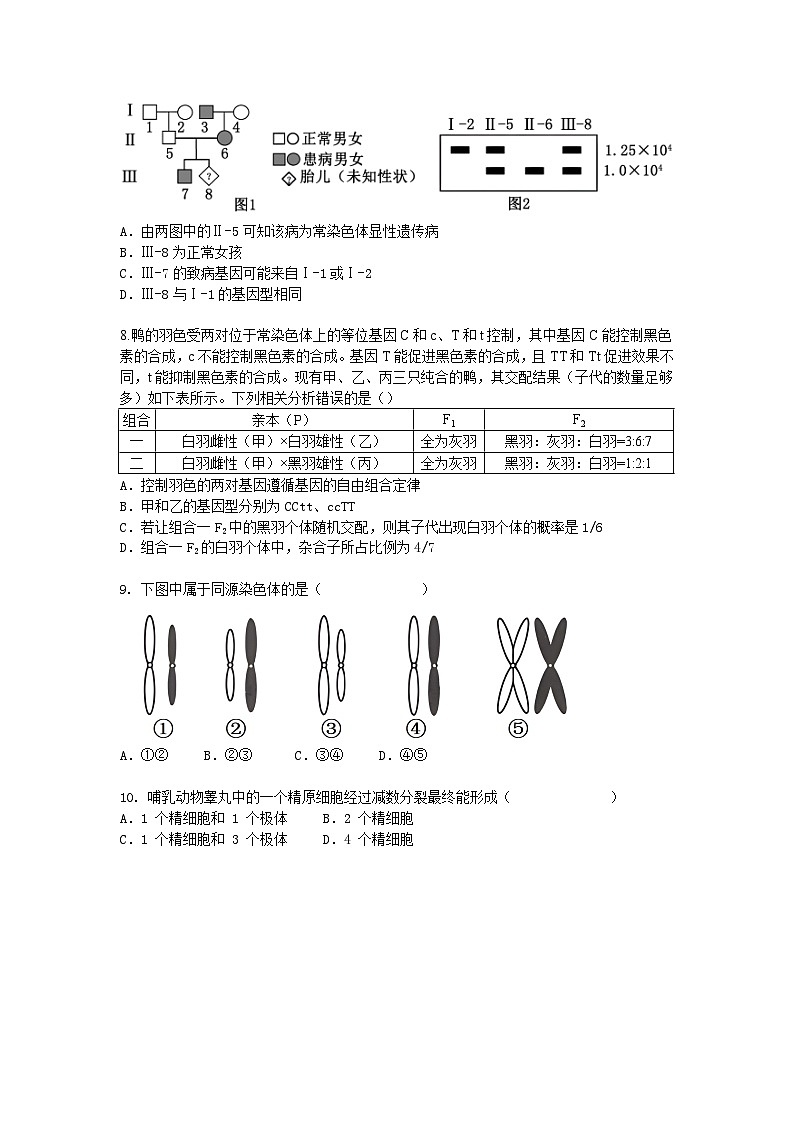 上海市2024-2025学年高一下学期3月月考生物（模拟卷）+答案第2页