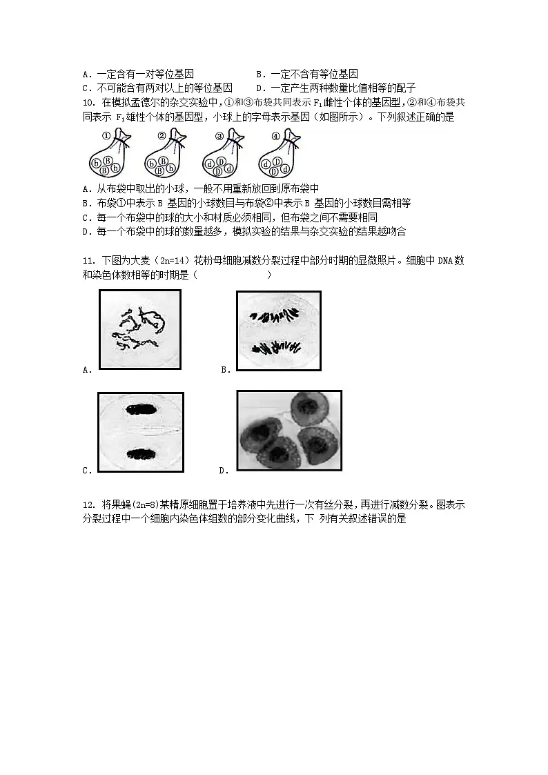 四川省雅安市2024-2025学年高一下学期3月月考生物（模拟卷）+答案第3页