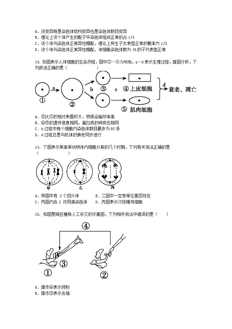 天津市2024-2025学年高一下学期3月月考生物（模拟卷）+答案第3页