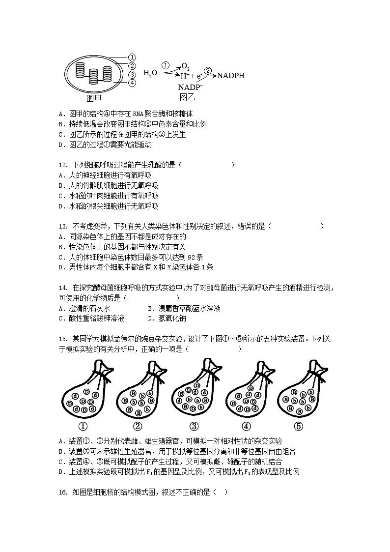 浙江省余姚市2024-2025学年高一下学期3月月考生物（模拟卷）+答案第3页