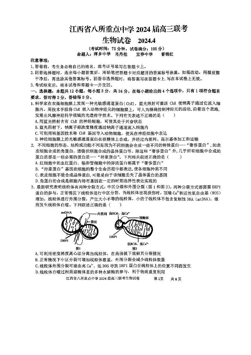 2024届江西省八所重点中学高三下学期4月联考-生物试卷（含答案）第1页