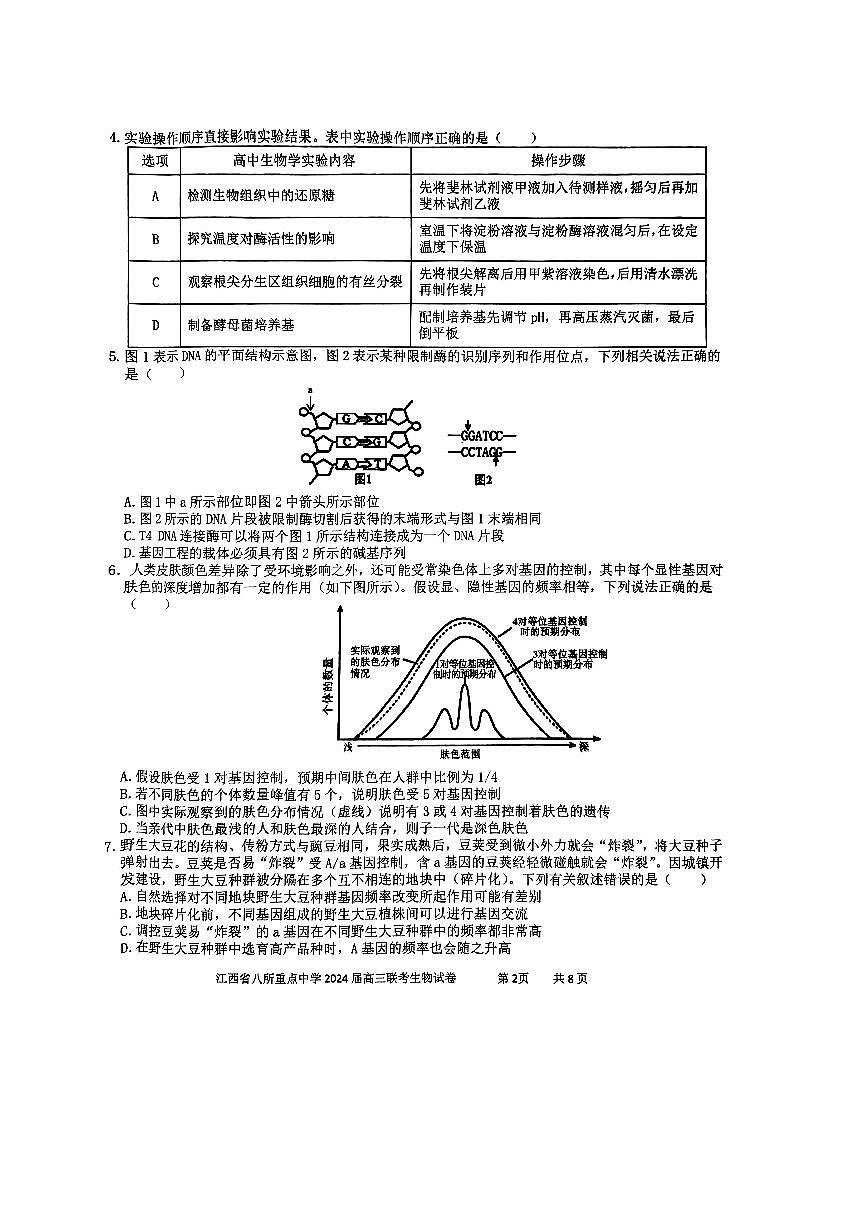 2024届江西省八所重点中学高三下学期4月联考-生物试卷（含答案）第2页