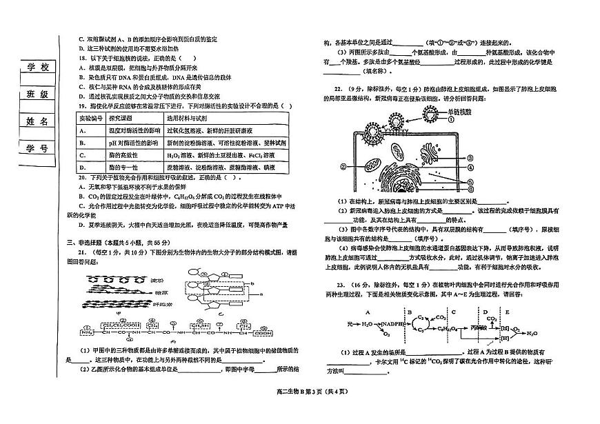 2024届辽宁省鞍山市高二下学期（期末考）-生物试题（含答案）第3页