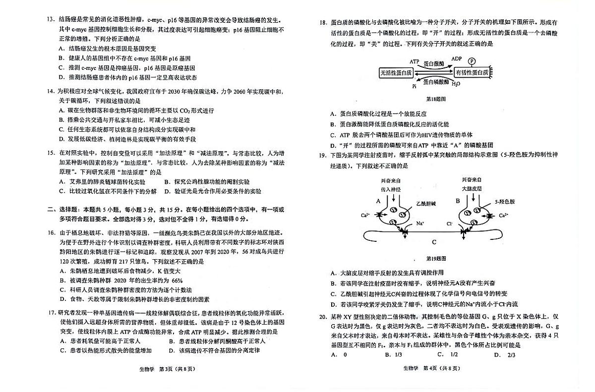 2024届辽宁省鞍山市高三上学期第一次质量监测-生物试题（含答案）第2页